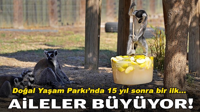 İzmir Doğal Yaşam Parkı'nda 15 yıl sonra bir ilk... Aileler büyüyor!