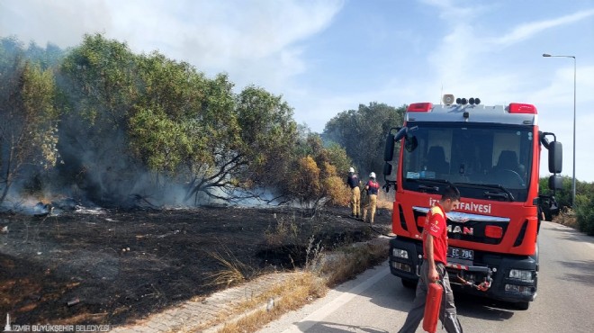 İzmir İtfaiyesi teyakkuzda... Dört bir yanda alevlerle mücadele!