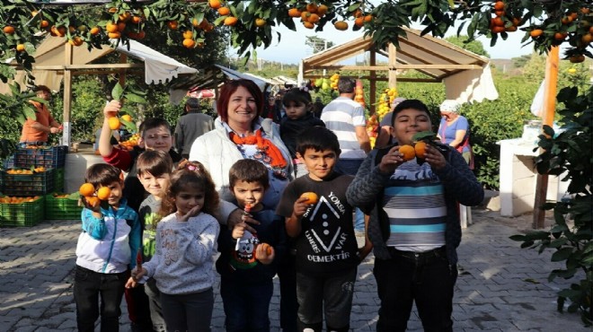 Karaburun'da turuncu şenliğe adım adım!