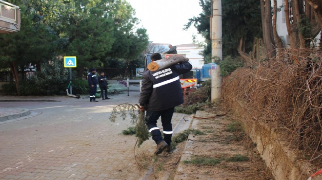 Karşıyaka’da budama seferberliği