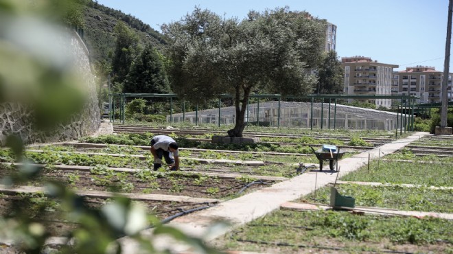 Karşıyaka'da tohumlar toprakla buluştu