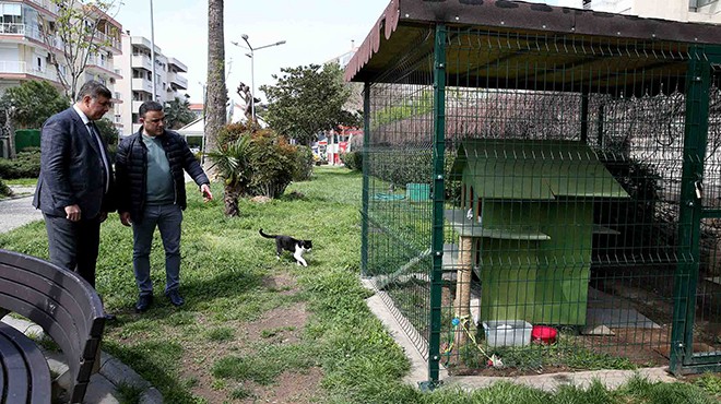 Karşıyaka'daki tüm parklara kedi evi yapılacak
