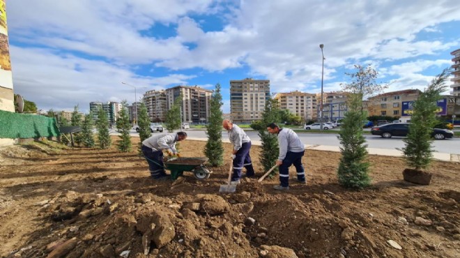 Karşıyaka'nın 4 yıllık yeşil raporu: 89 bin fidan, 55 park!