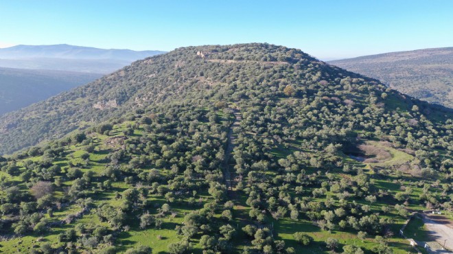 Manisa'da 1900 yıllık antik yol ortaya çıkarıldı