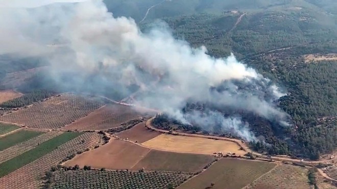 Manisa'da orman yangını: Müdahale sürüyor