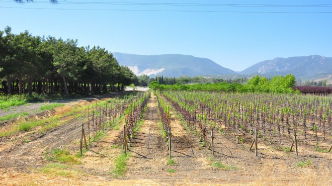 Manisa'nın başına talih kuşu konmuştu... Dev yatırım kentte sevinçle karşılandı