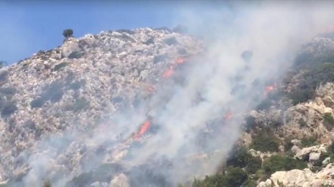 Marmaris'te alevler yükseldi: Yılana kızdı, ormanı yaktı!