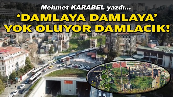 Mehmet KARABEL yazdı... 'Damlaya damlaya' yok oluyor Damlacık!