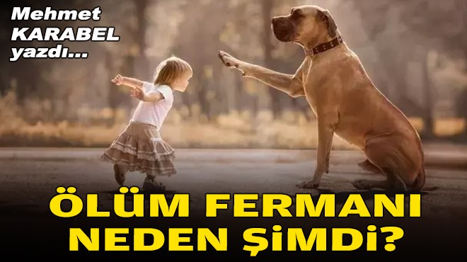 Mehmet KARABEL yazdı... Ölüm fermanı neden şimdi?