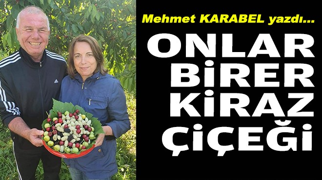 Mehmet KARABEL yazdı... Onlar birer kiraz çiçeği