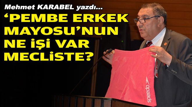 Mehmet KARABEL yazdı... ‘Pembe erkek mayosu'nun ne işi var mecliste?