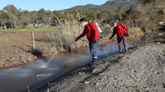 Menderes’te larva seferberliği!