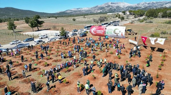 Muğla'da 30 bin fidan toprakla buluşturuldu