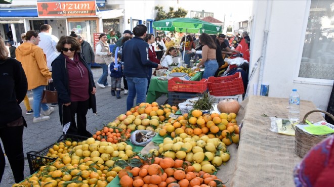 Muğla'da 'Bodrum Mandalin Festivali' düzenlendi