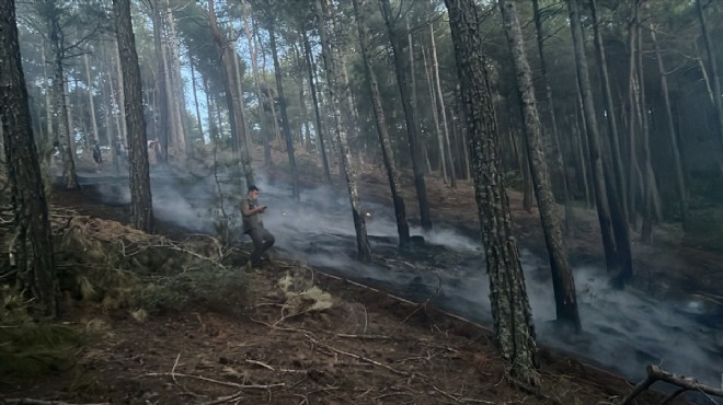 Muğla'da yangın paniği!