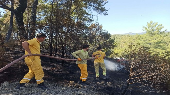 Muğla'daki orman yangını kontrol altında