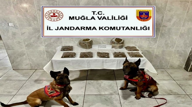 Narkotik köpeklerinden kaçmadı!