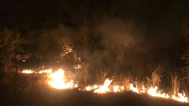 Orman yangını 2 saatte kontrol altına alındı