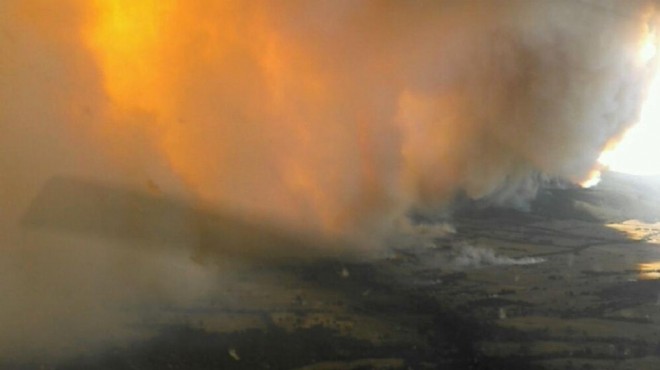 Orman yangınlarında 14 bin hektar alan kül oldu