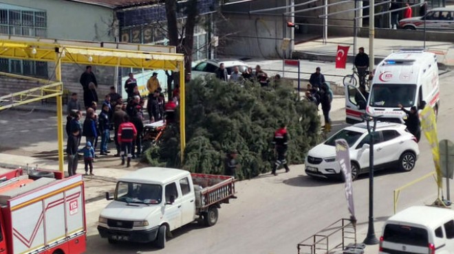 Seçim çalışmasında üzerine ağaç devrildi!