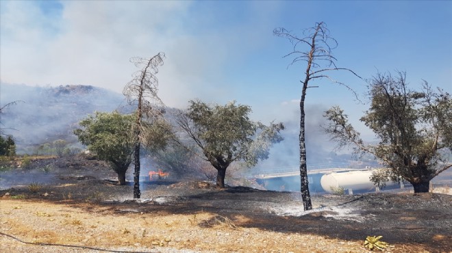 Selçuk'ta korkutan yangın!