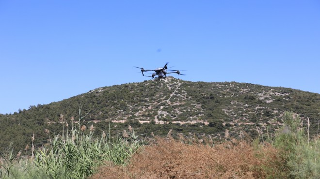 Selçuk'ta sivrisineklere 'drone'lu müdahale!