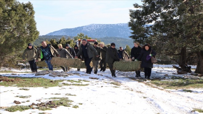 Spil Dağı'nda yaban hayvanları için yem bırakıldı