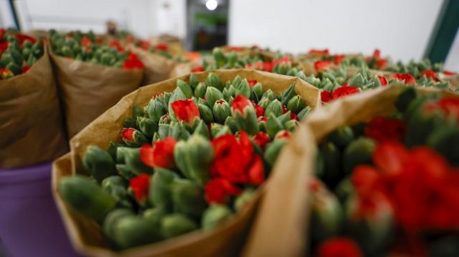 Türkiye'den 83 ülkeye çiçek ihracatı