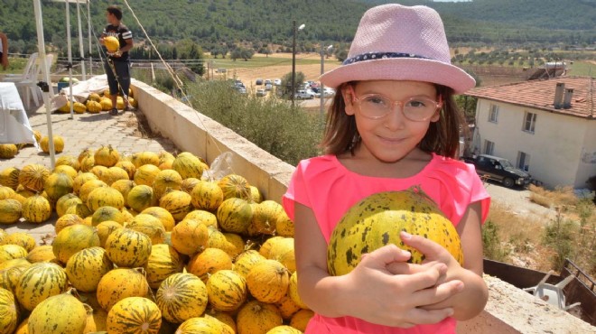 Urla 'sarı kokulu' festival ile coştu