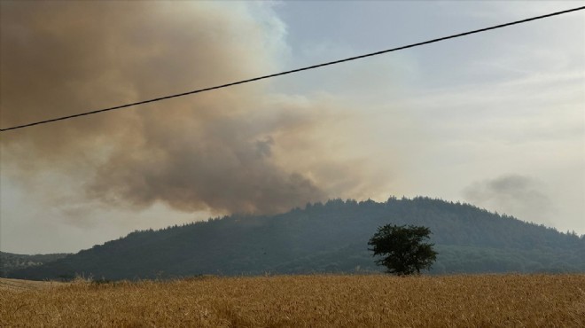 Uşak'ta orman yangını kontrol altında