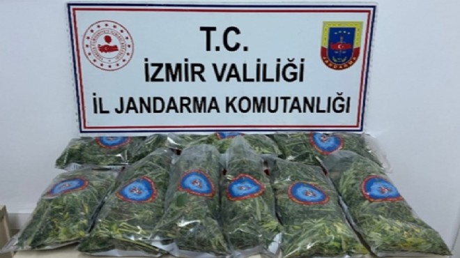 Zehir baskını... Evinde 10 kilo esrar ele geçirildi!